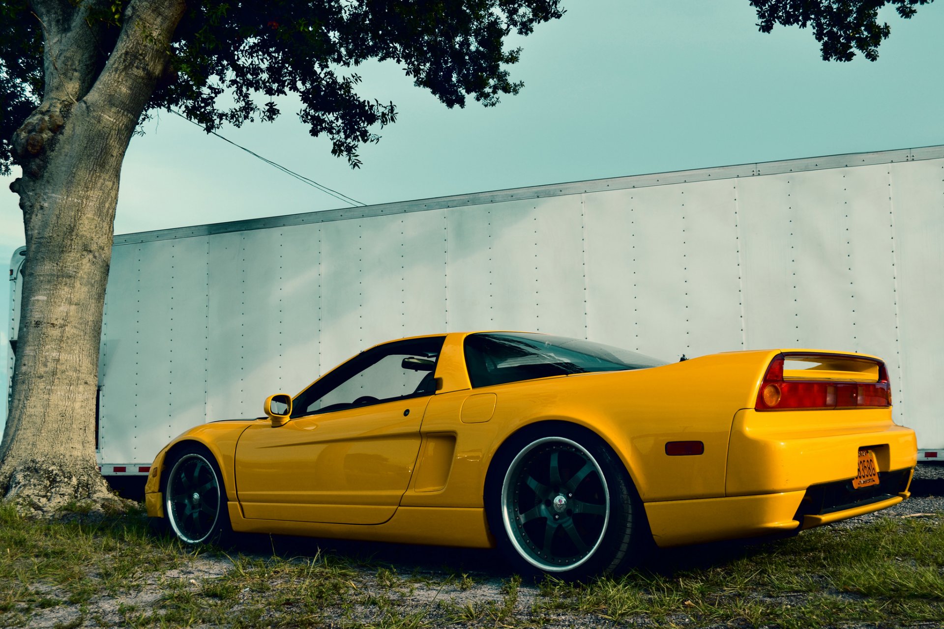 acura nsx amarillo espalda hierba árbol