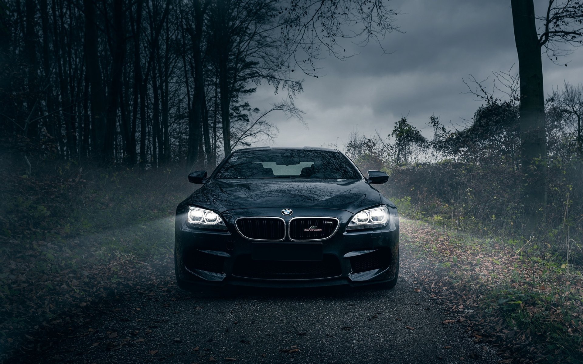 bmw m6 ac schnitzer темный лес лошади