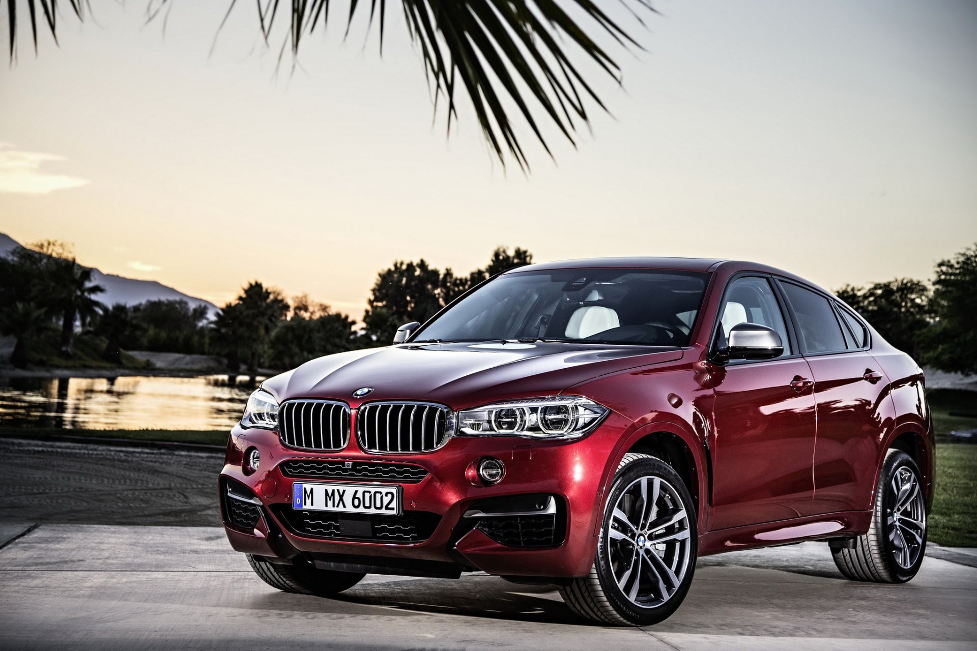 bmw 2014 x6 f16 vehicles cherry