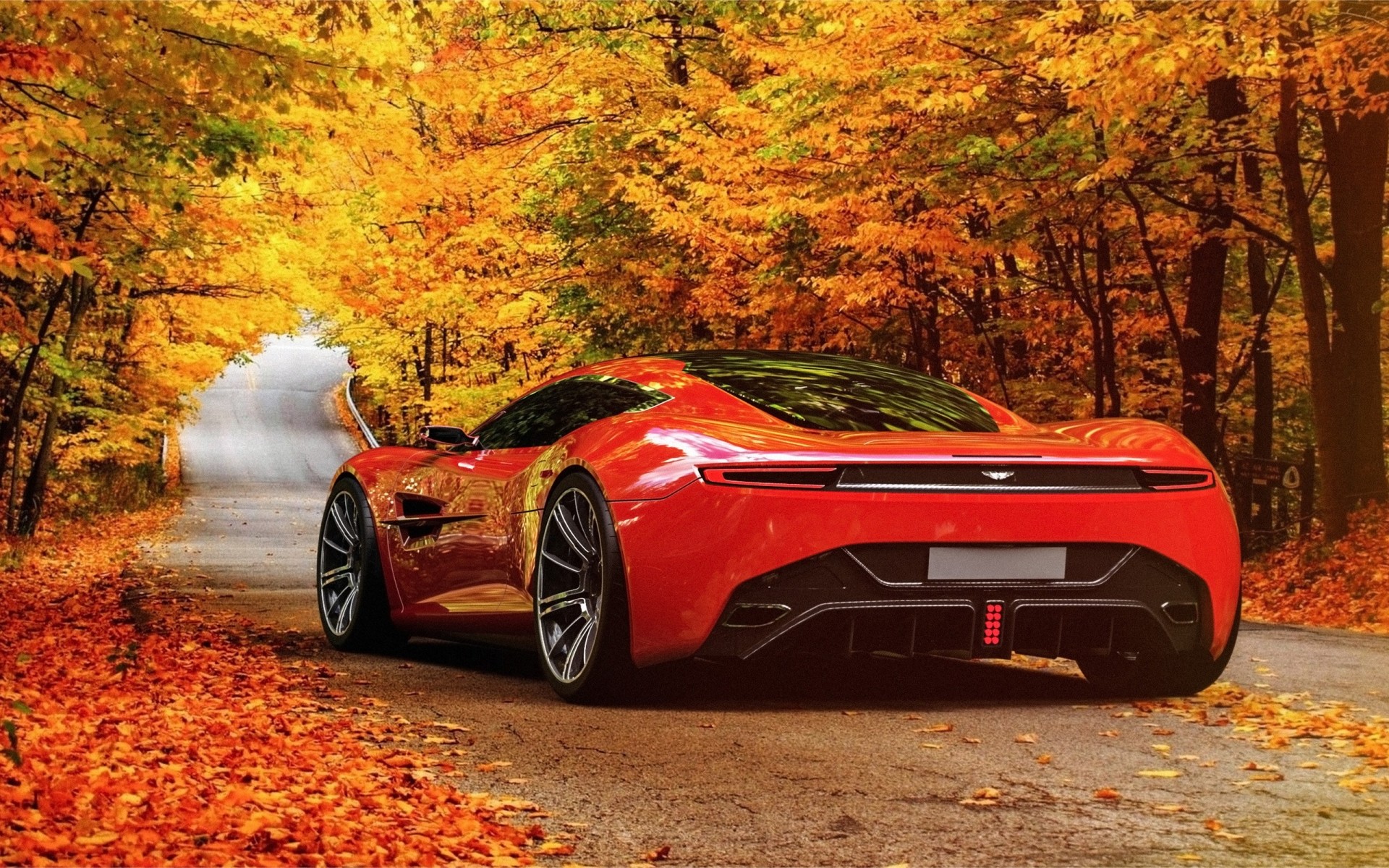 carretera coche parque superdeportivo palmeras aston martin hoja otoño