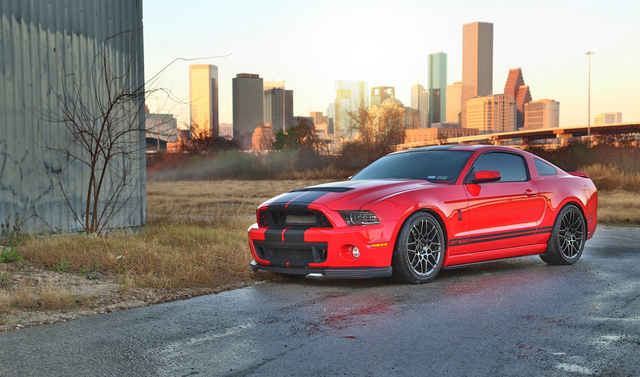 ford mustang cobra shelby gt500 rouge