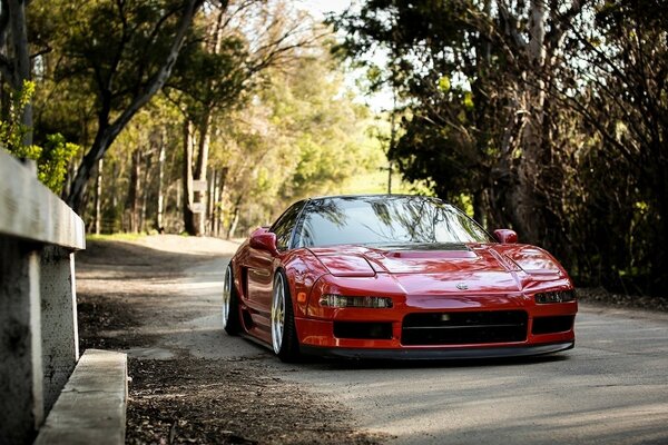 Red acura among autumn trees