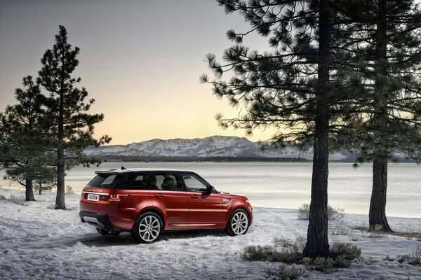 Red Land Rover nella foresta invernale