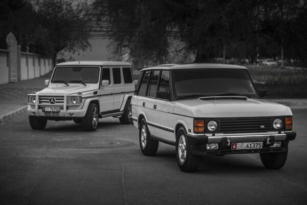 Mercedes classique couleur blanche