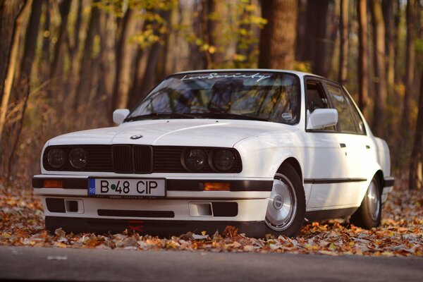 A white car stands in the autumn forest