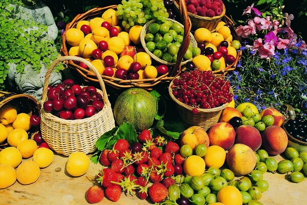 Cesta de frutas maduras de verano