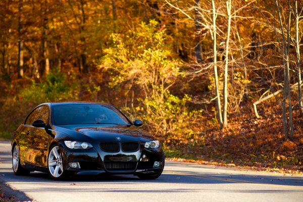 Schwarzes Auto im Herbstwald