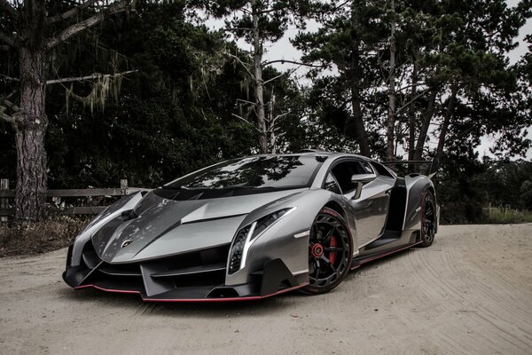 Lamborghini Veneno Supersportwagen graue Farbe Hintergrund