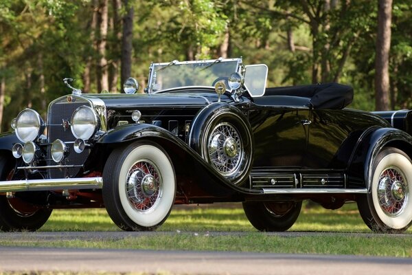 Schwarzer Cadillac in der Straße vor Waldhintergrund