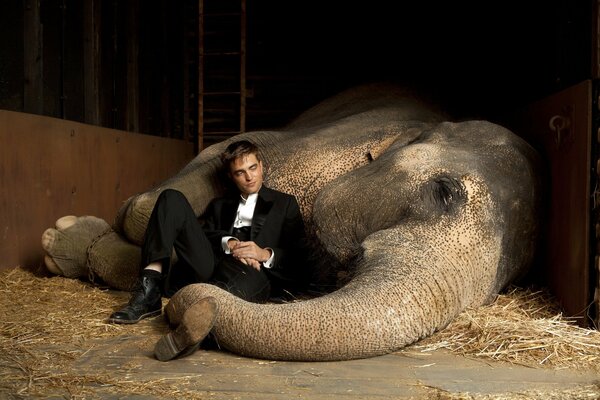 Robert Pattison with an elephant