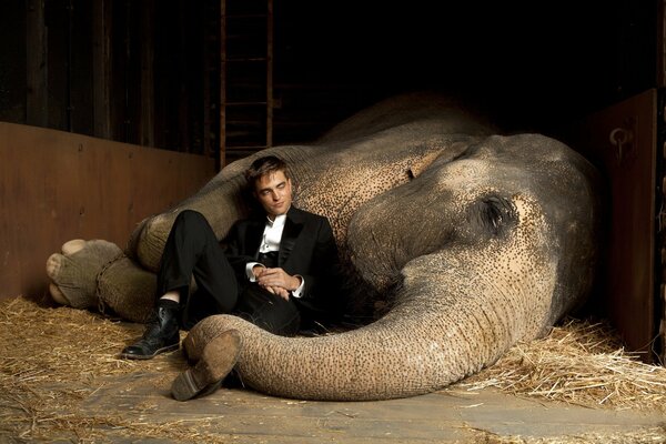 Robert Pattison con l elefante