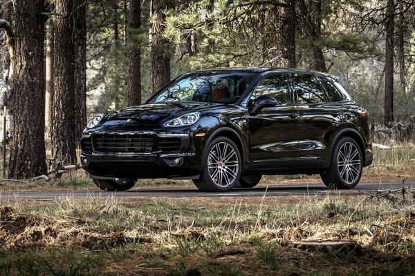 Porsche Cayenne negro cabalga por el camino del bosque