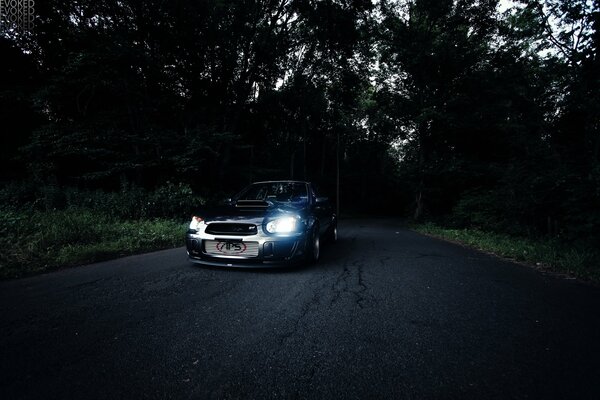 Coche camino forestal en el crepúsculo