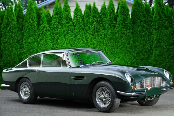 There is an old car among the green trees