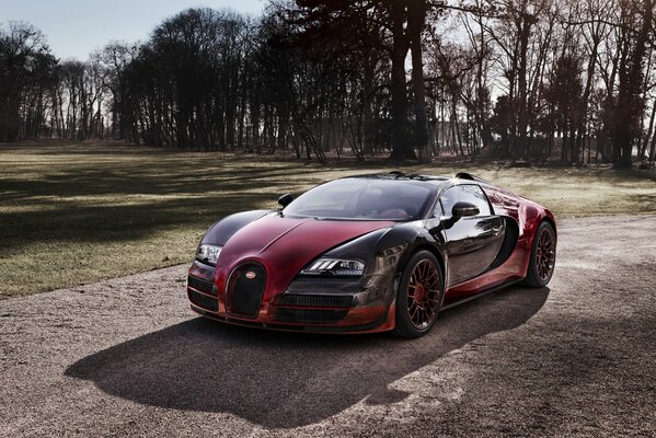 El superdeportivo Bugatti veyron de camino a las carreras