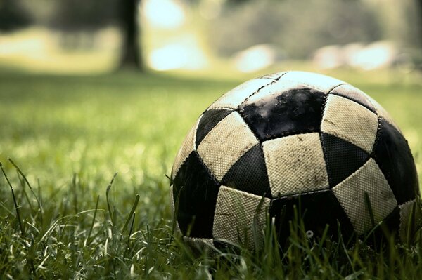 Грязный мяч в зелёной траве