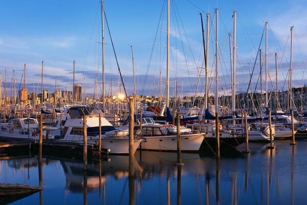 Boats without sails on masts at dawn