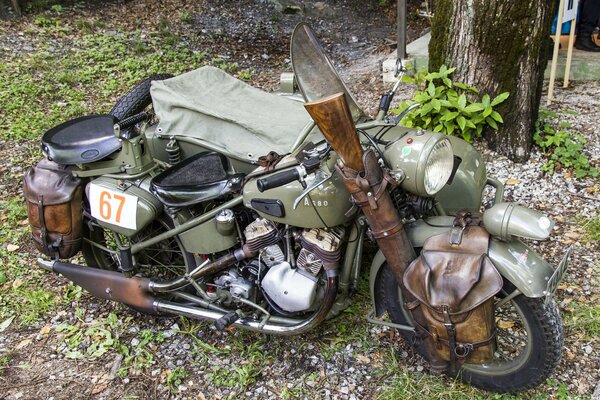 World War II military motorcycle in the forest