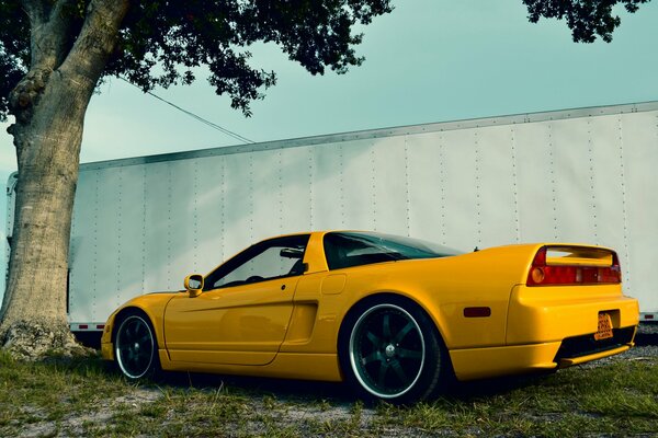 The car is yellow on a grass background