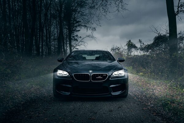 A bmw m6 car is driving in a dark forest