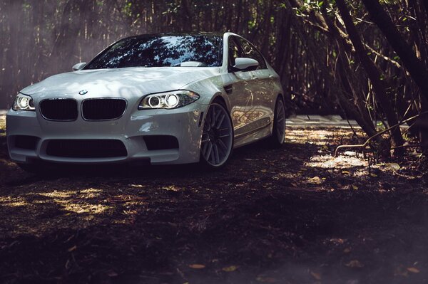 Автомобиль белый BMW f10 на фоне леса