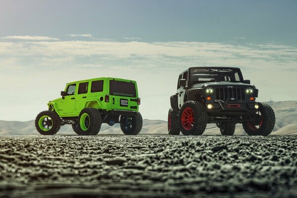 Green and chamois jeep on the stone road