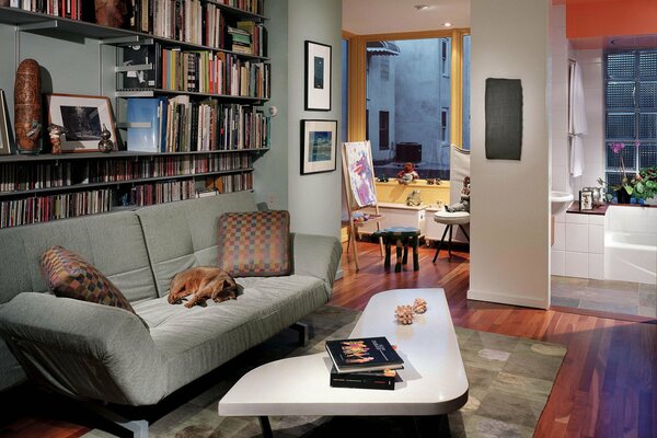 Intérieur moderne. Un canapé avec des oreillers et un chat roux dessus. Grande bibliothèque de livres, peintures et chevalet avec des peintures