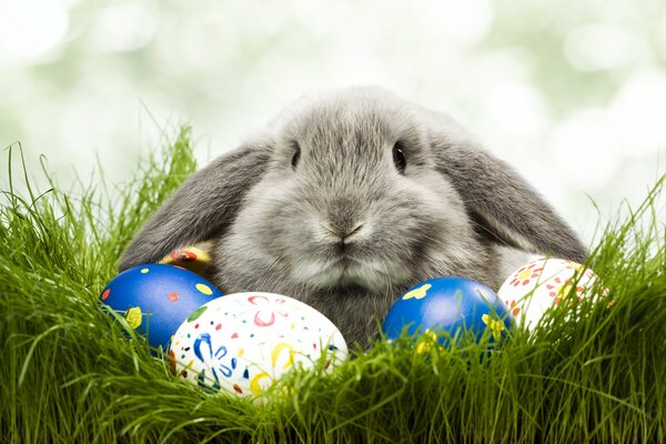 Huevos de conejo de Pascua pintados