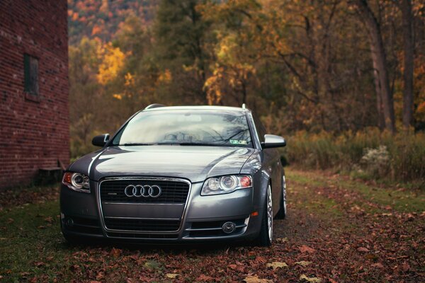 Audi A4 fuera de la ciudad en el fondo de follaje carmesí