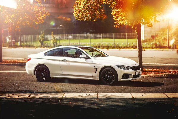 BMW blanc avec Jantes noires sur fond de forêt d automne