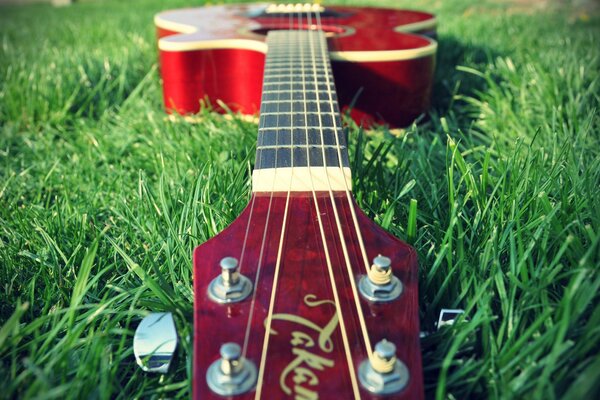 Guitarra roja en hierba verde