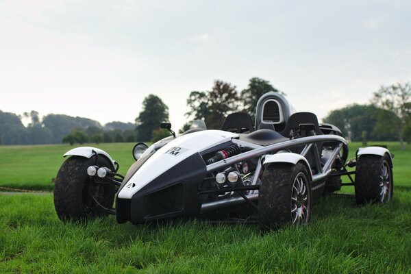 Nero, elegante auto sull erba verde