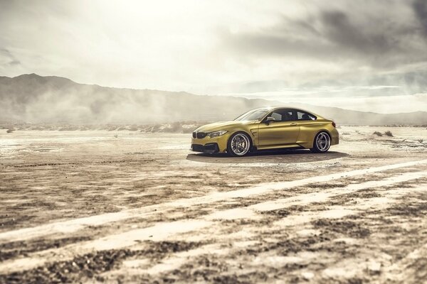 Un hombre de oro en el desierto. bmw gtrs4 vorsteine