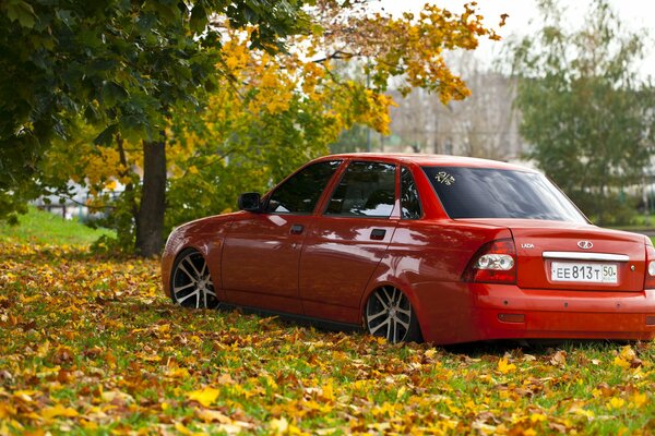 Red Priora si trova sul tappeto autunnale