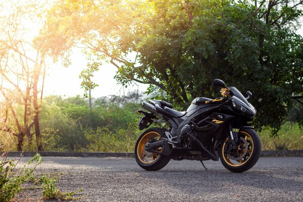 Inmitten von Bäumen und strahlender Sonne steht ein Motorrad