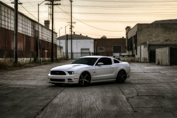 A white mustang stands near abandoned houses