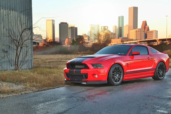 Rojo Shelby Cobra Ford Mustang GT500 en el campo de fondo de la ciudad