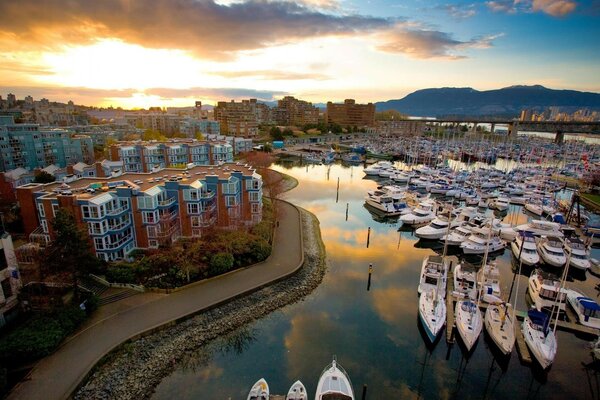 Saturday morning at the marina with yachts