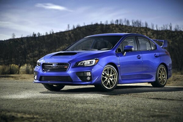 Subaru impreza 2015. Forest road