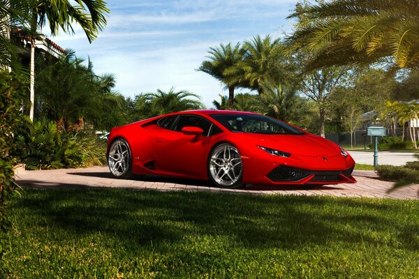 Frecher roter Lamborghini Huracan