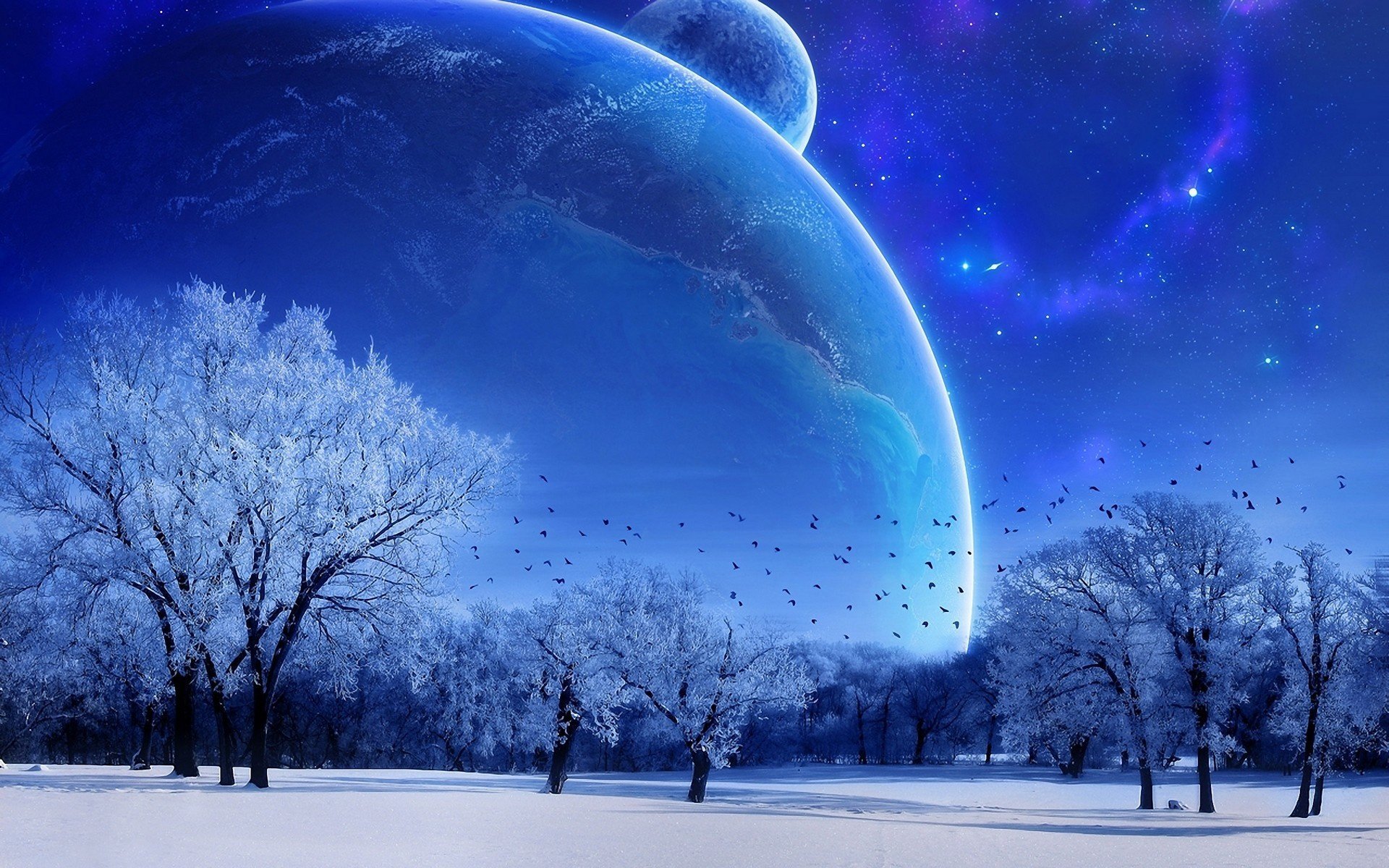 winter forest snow birds trees planet star