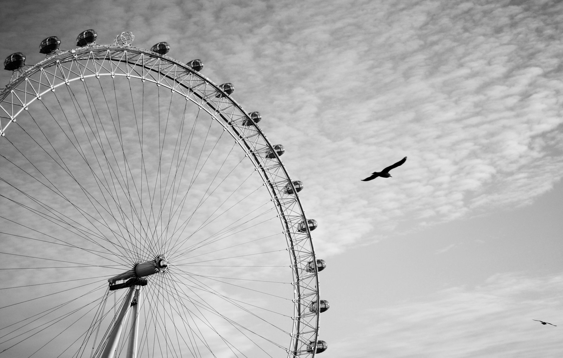 london eye london eye attrazione londra londra ruota panoramica ruota grigio b-w bianco e nero altezza uccello aquila cielo nuvole sfondo grigio animali