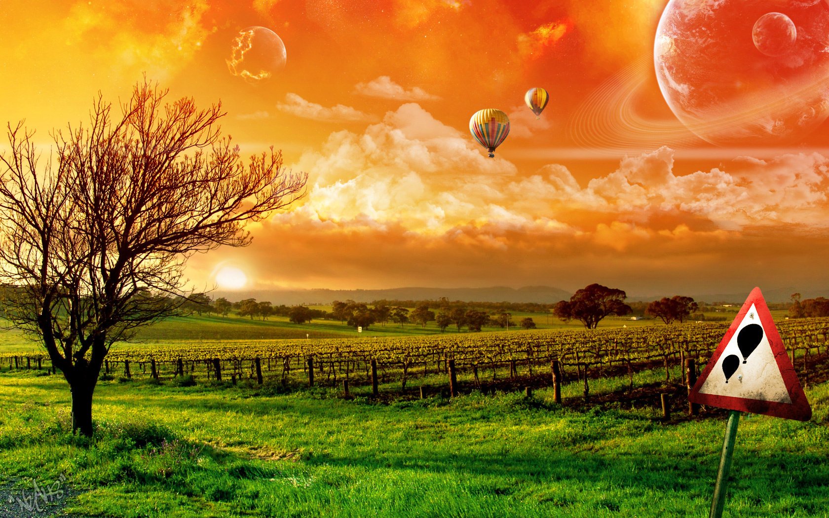 the airship sign the sky clouds sunset balloons grass greens field tree orange sky nature