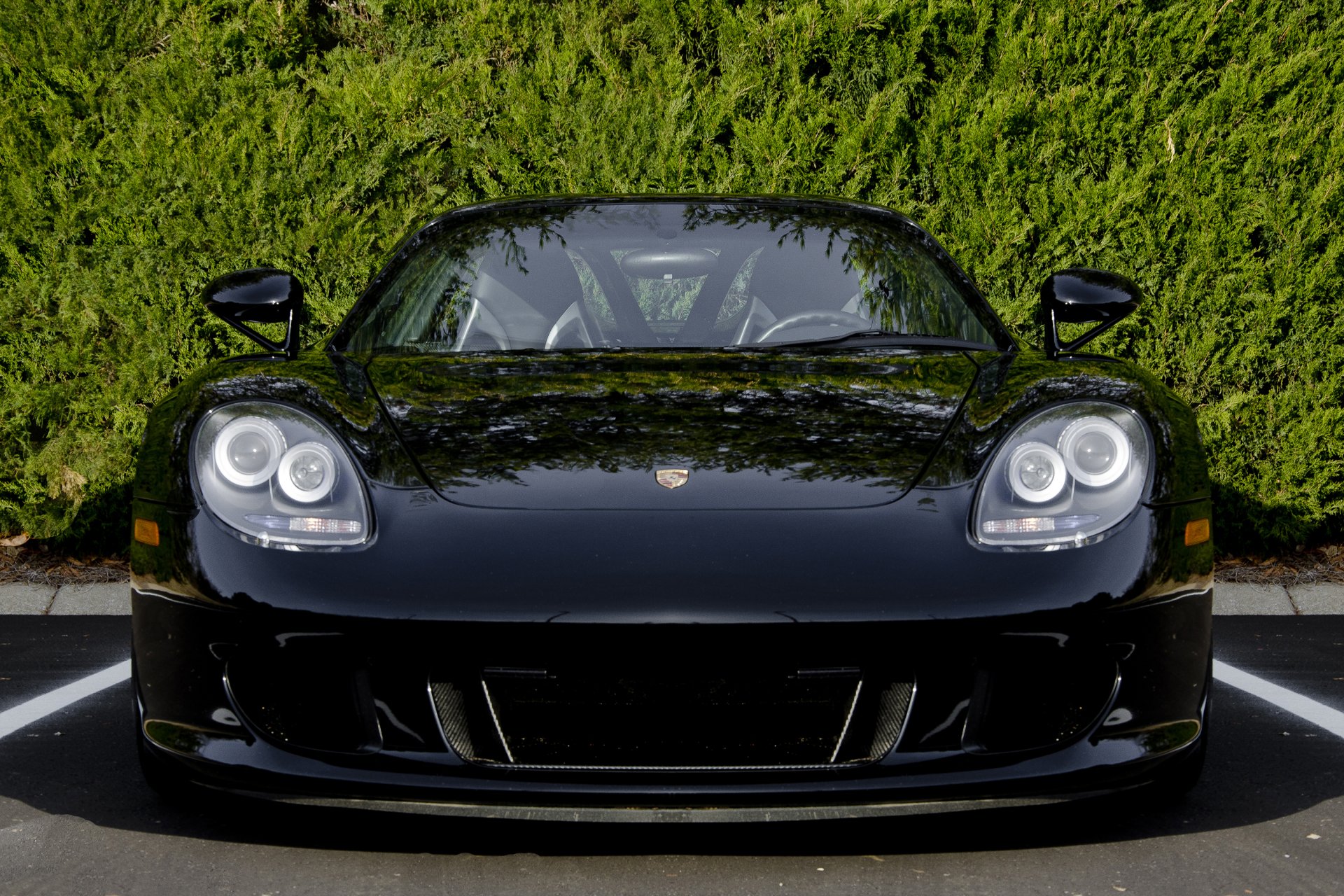 porsche carrera gt schwarz front baum porsche carrera front bäume