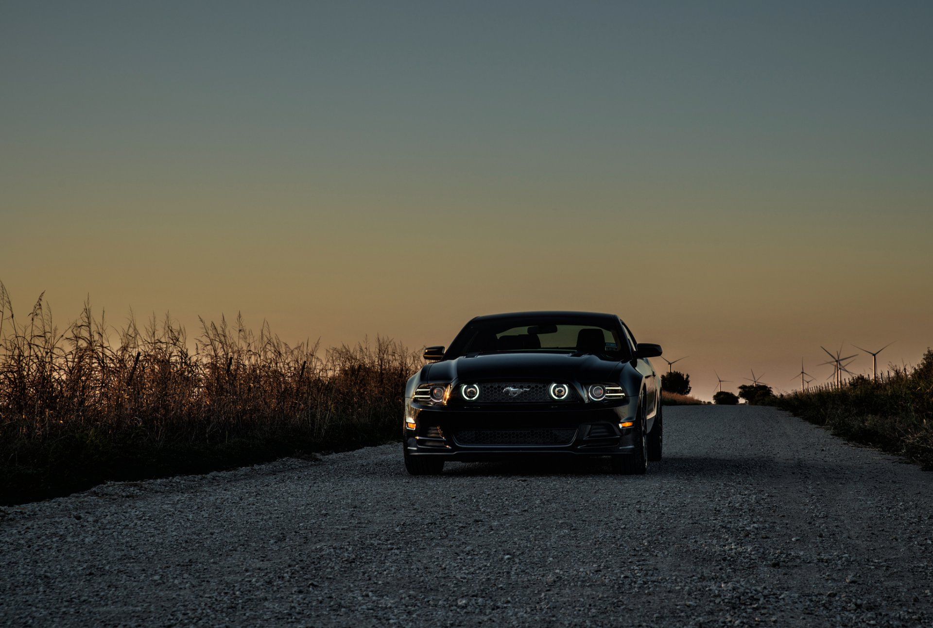 ford mustang gt black ford black wind turbine