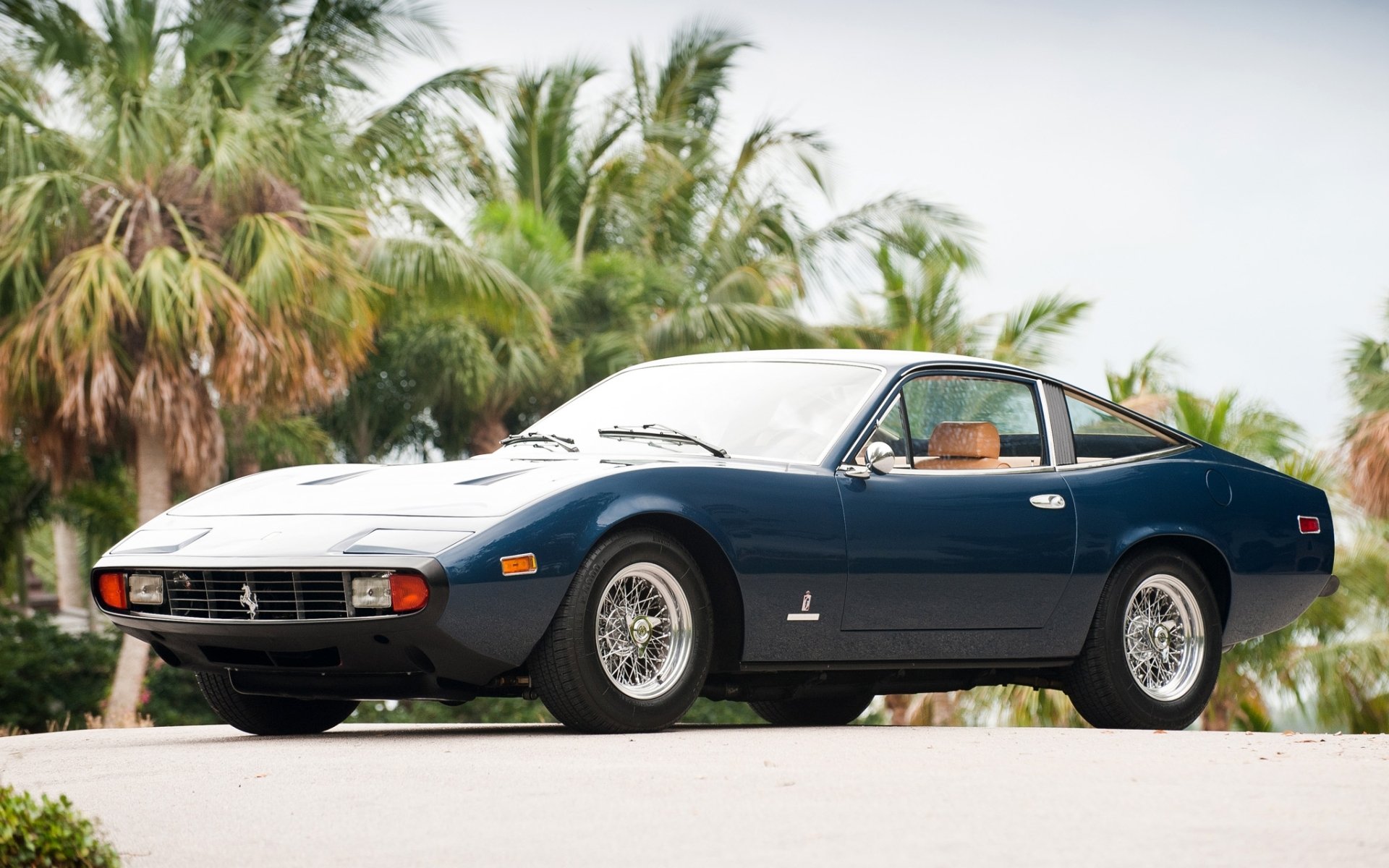 ferrari gtb 4 1971 ferrari supercar front end palm trees sky