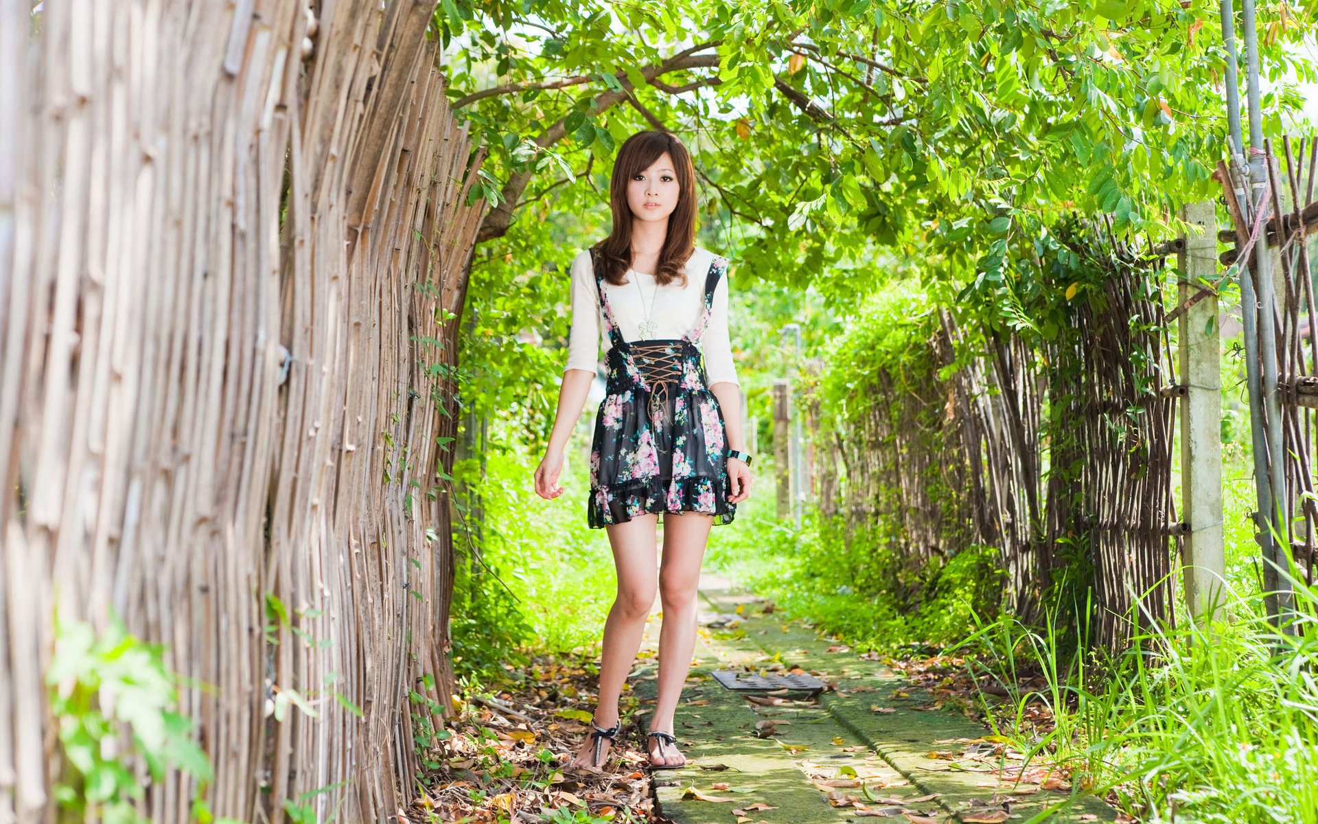 japanese girl asian pose street trees foliage light greens green tree branches eyes look grass leave