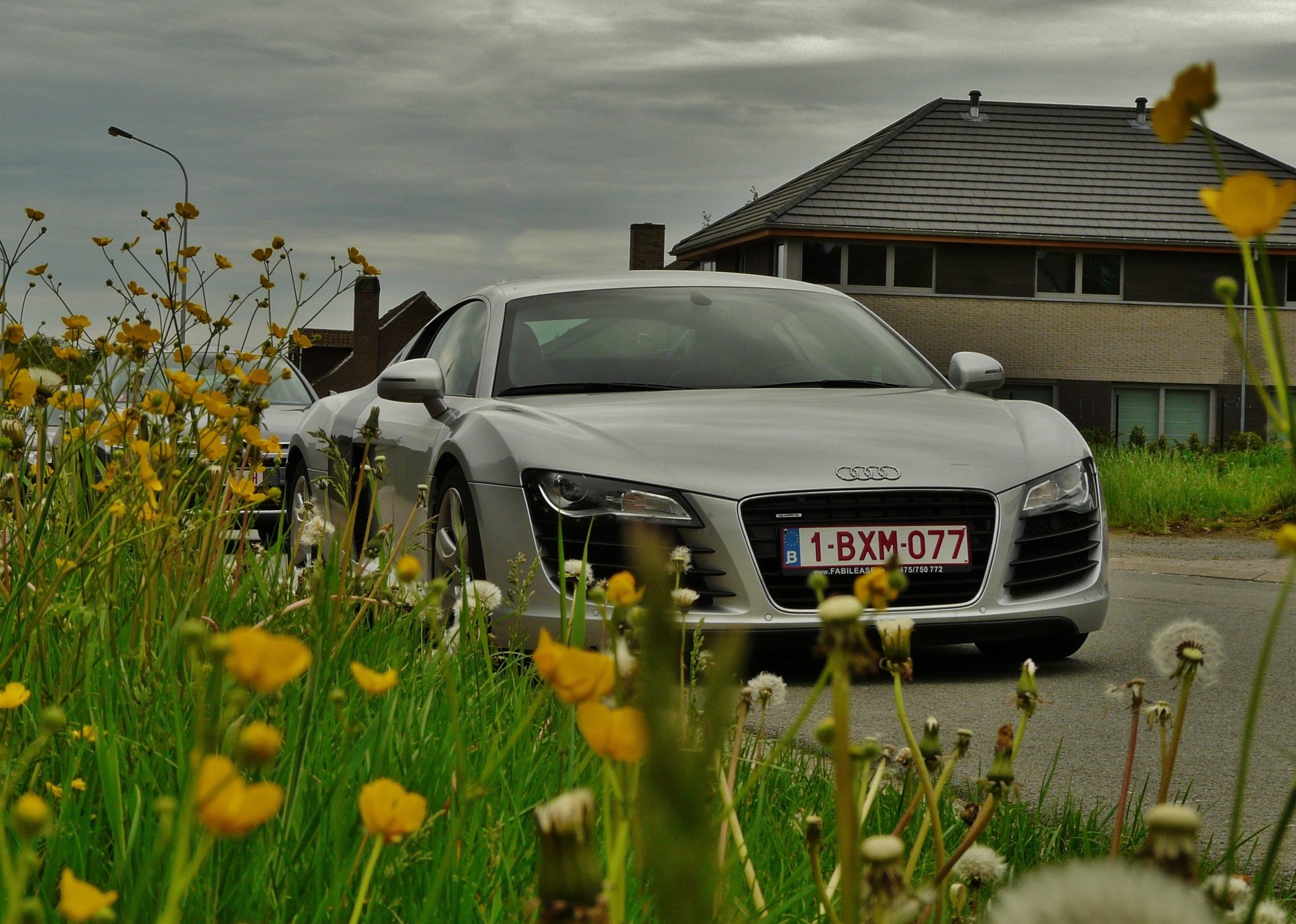 flores hierba dientes de león carretera coche audi r8 motor central tracción en las cuatro ruedas superdeportivo casa cielo nubes