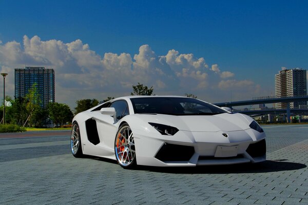 Deportivo blanco brillante coche ciudad paisaje