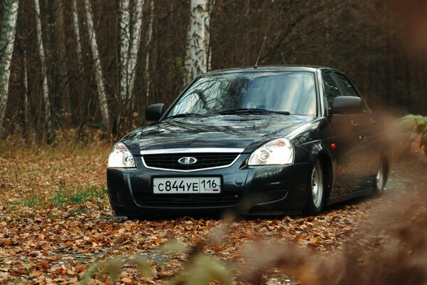 Otoño, muchas hojas. Auto coche Lada Priora